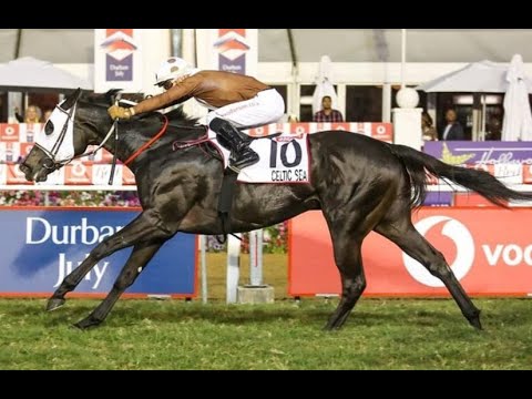 CARTIER SCEPTRE STAKES GR2: CELTIC SEA