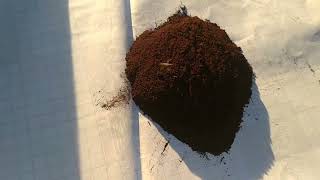 Part 8: Cara Mendapatkan Serbuk PbO² (PB Dioksida) Dengan Mudah