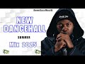 Latest Dancehall Mix 2025 IVANY Skillibeng Vybz Kartel Spice Aidonia RDX Kraff
