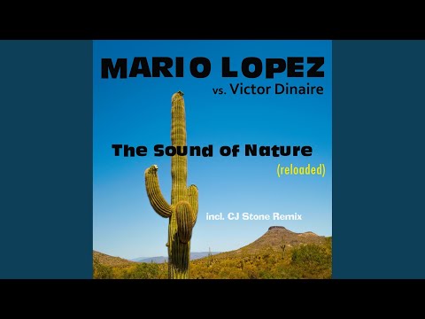 The Sound of Nature (Pit Bailay Remix)