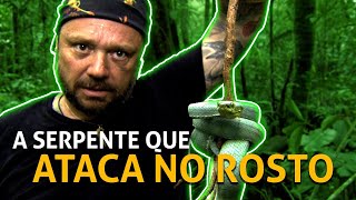 Miniatura do vídeo