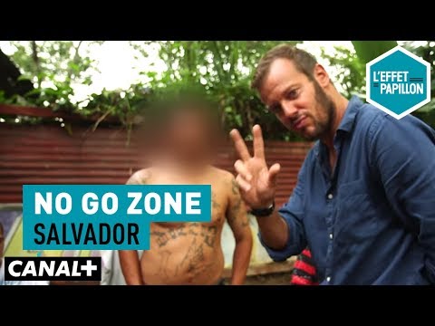 Salvador : No Go Zone - L’Effet Papillon – CANAL+