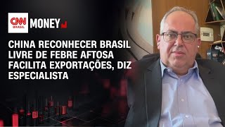 Vídeo: China reconhecer Brasil livre de febre aftosa facilita exportações, diz especialista | CNN AGRO NEWS