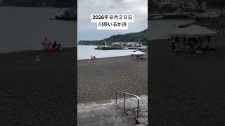 2026年８月２９日川奈いるか浜の様子