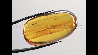  Křídový jantar B-253