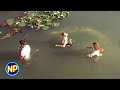 The Snake Is In The Water Anacondas The Hunt For The Blood Orchid 2004