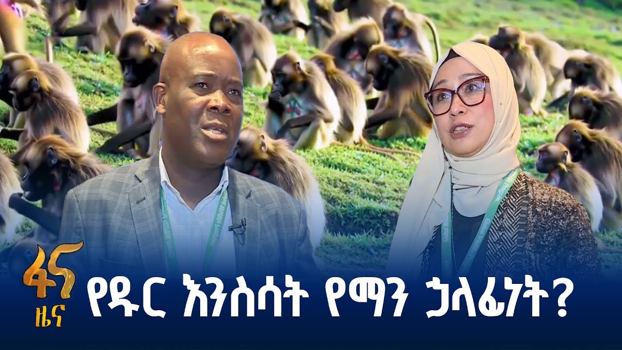 የሀገራት የተጠናከረ ጥበቃ