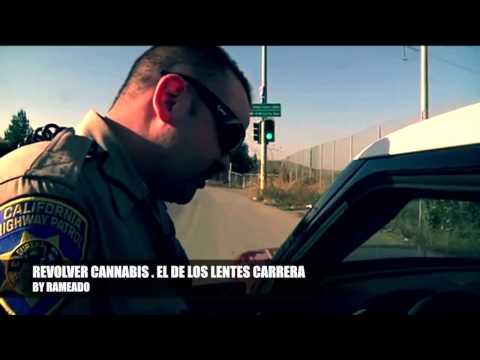 Revolver cannabis noche de poker letra portugues Revolver cannabis noche de poker letra portugues