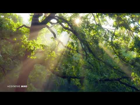 Good Morning Music 432Hz😍  Wake Up Happy & Fresh   Nature + Sound Healing Therapy