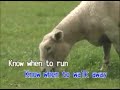 Kenny Rogers 13 Coward Of The Country