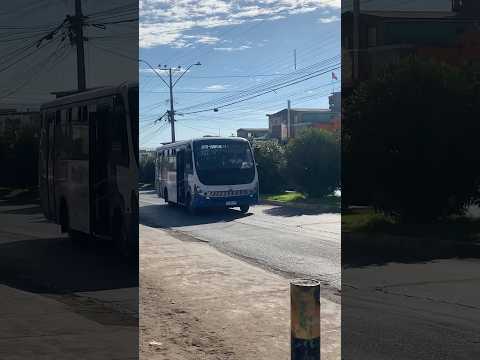 Linea 107 & 129 trans Antofagasta (adutax) Caio foz LO916 & Zhong tong LCK6850D