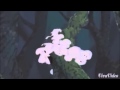 Night Lovell- Trees Of The Valley (AMV) 