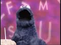 Sesame Street Cookie S Letter Of The Day But Eats Every Letter 2002 BETTER QUALITY