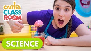 Why It&#39;s Important To Brush Your Teeth!