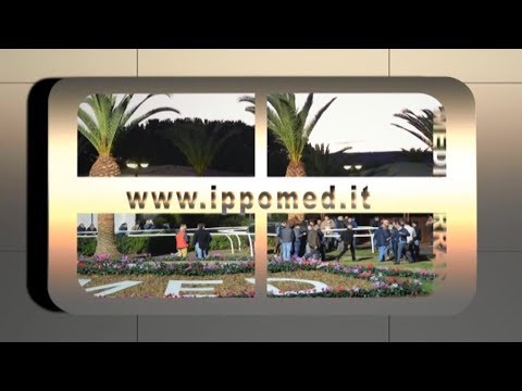 Galoppo Corse del 13 APRILE 2019