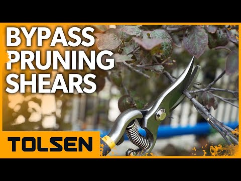 Миниатюра изображения товара Секатор механический Tolsen 31018