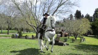 Welcome to the Town of Roaring Camp