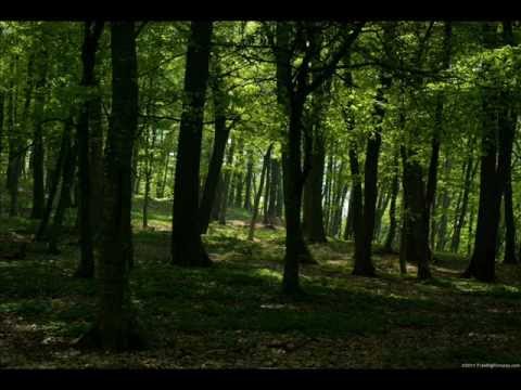 Adam Nickey Pres. Blue 8 Vs. Sunfreakz - Drive Out Eleventh Street (Robson Kf Mashup)