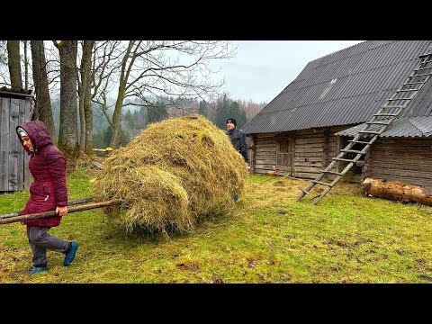 Rainy Mountain Day & Strawberry Pie in Our Ancestral Cabin! ⛰️🚙🍓