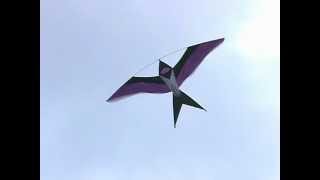 preview picture of video 'Bird Kites at Dieppe - 2004 kite festival'