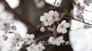 《J-POP》さくら【独唱】（"Sakura【Dokushou】"- Cherry Blossoms【Solo】）
