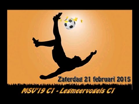 MSV'19 C1 - Legmeervogels C1