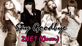Say Goodbye- 2NE1