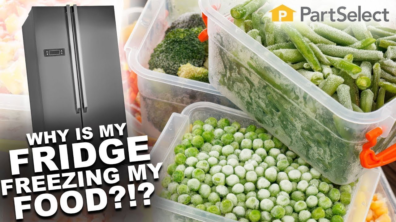 Why Is My Refrigerator Freezing My Food?
