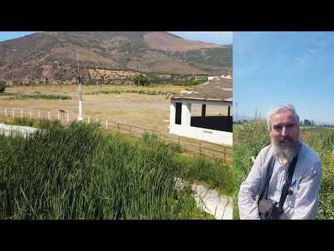 Poza Cristalina - La Cruz -  Región de Valparaíso.