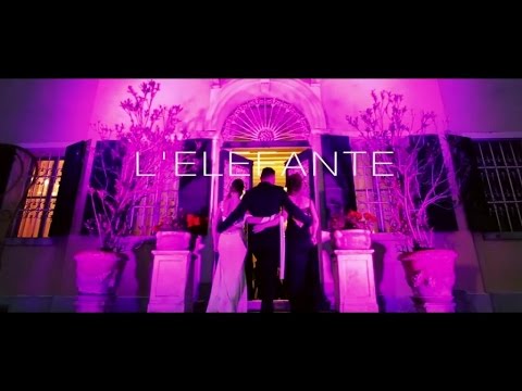 Matteo Becucci - L'Elefante