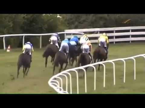 Bad Harzburg: Herzog Carl Preis Bad Harzburg (D) - Sieger: Haarib