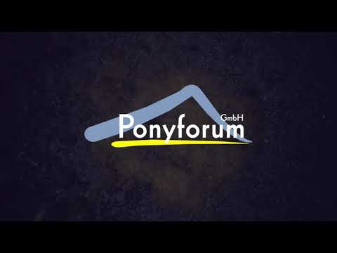 7j. Schimmelstute v. Dressman II – Tornado