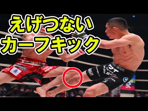 【RIZIN 堀口恭司 vs 朝倉海２】堀口のカーフキックに秒殺される朝倉海　＃堀口恭司　＃朝倉海　＃RIZIN　＃MMA　＃総合格闘技
