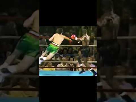 JULIO CESAR CHÁVEZ'S FLYING PUNCH KNOCKED OUT MAYWEATHER #mexicanboxing #juliocesarchavez #boxing