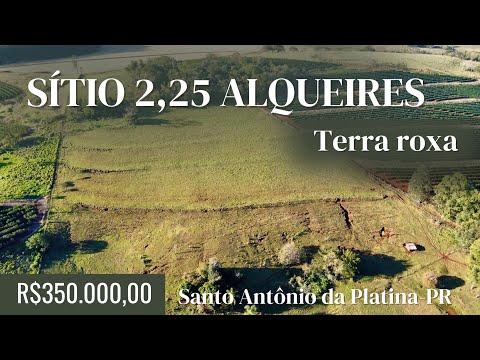 SÍTIO TERRA ROXA- PERTINHO DA CIDADE- NORTE DO PARANÁ 