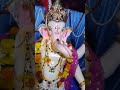 Mangli Peth Ganesh Utsav