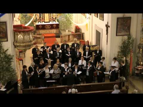 Veni Creator Spiritus (Johann Baptist Hilber) - Kirchenchor St. Georg