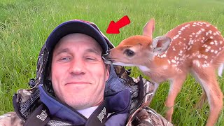Man Rescues Injured Fawn and Reunites It with Its Family!