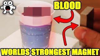 Top 10 CRAZIEST Magnet Tricks You Should Try