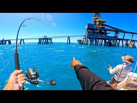 INSANE Feeding Frenzy Right at the Boat!