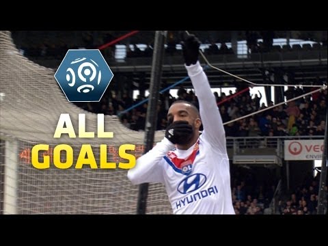 Ligue 1 - Week 22 : Goals compilation - 2013/2014
