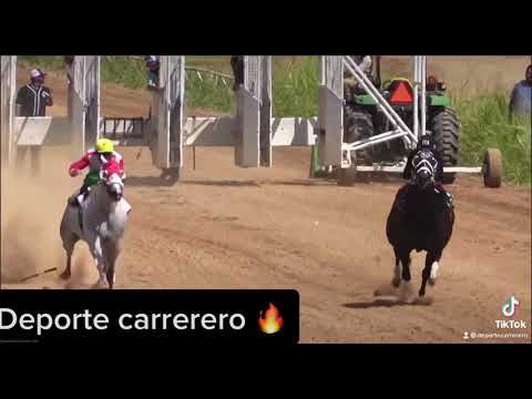 Manuel Gutierrez  #elcaritas