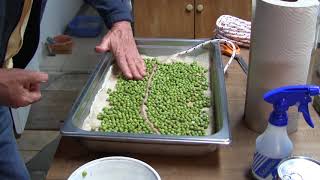 GSM Solutions - No Soil Growing of Microgreens