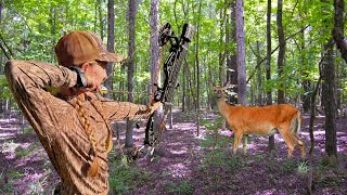 Organic Best Meat You’ll Ever Eat | Archery Deer Hunt & Harvest!