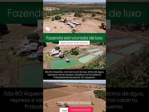 80 Alqueires em Bom Jardim Goiás / whatsapp 62 99373-6407