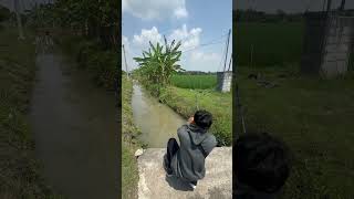 Download lagu Mancing Ikan Lele Monster #mancing #mancingmania #mancingikan #bolang #monster #lele #drama #lucu mp3 Download lagu Mancing Ikan Lele Monster #mancing #mancingmania #mancingikan #bolang #monster #lele #drama #lucu mp3