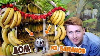ДОМ ИЗ БАНАНОВ - DIY