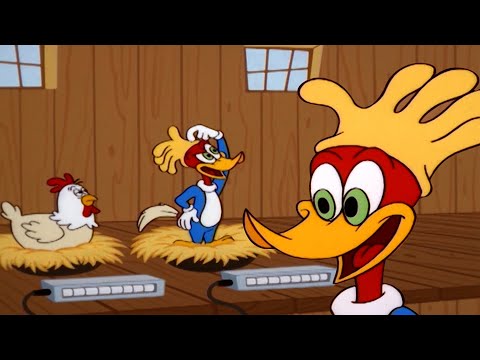 Woody pretends to be a chicken! | Woody Woodpecker