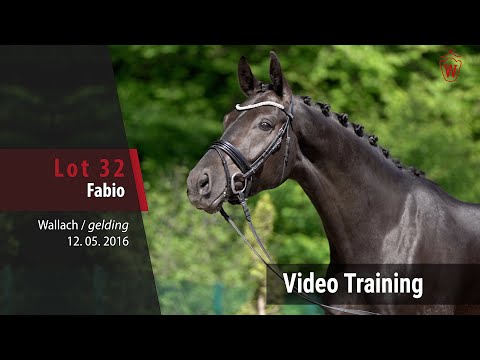 32 Fabio v. Fashion Maker - Rubinstein I_Trainingsvideo