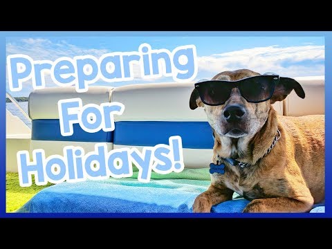 Preparing to Leave Your Dog for Holidays! Tips on How to Prepare to Leave Your Dog for Vacation!